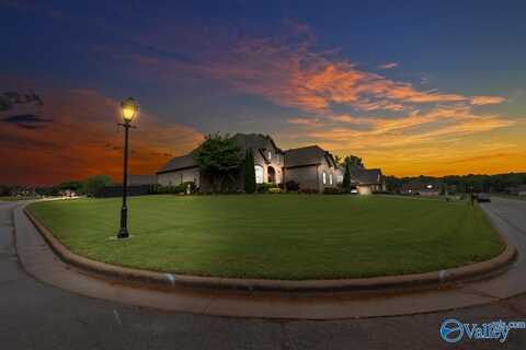 16335 Travertine Drive, Athens, AL 35613