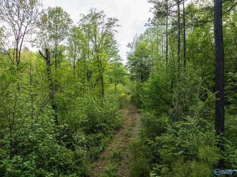9.10+ Acres Pleasant Grove Road, Horton, AL 35980