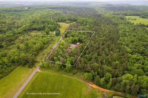287 County Road 431, Bryant, AL 35958