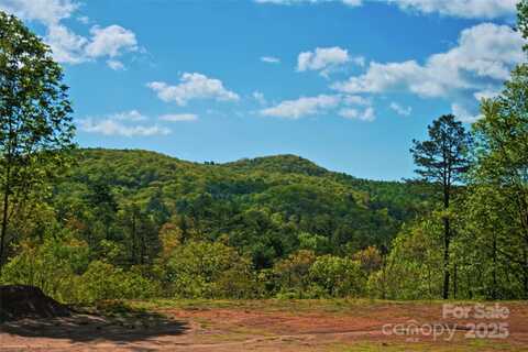 181 Pathkiller Road, Lake Toxaway, NC 28747