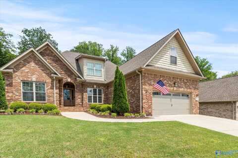 29241 Carnaby Lane, Toney, AL 35773