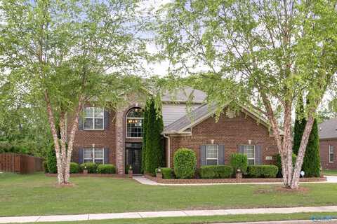 121 Chattooga Place, New Market, AL 35761