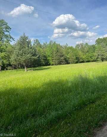 0000 Kids Lane, Mayodan, NC 27027