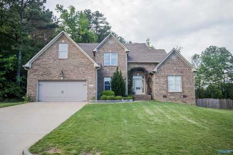 12 Hawthorn Way, Trinity, AL 35673