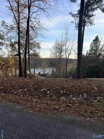 Lot 6 Whippoorwill Drive, Double Springs, AL 35553
