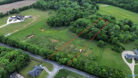 Tract 4 Dupree Worthey Road, Harvest, AL 35749