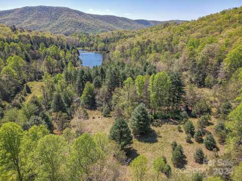 000 Davey Branch Road, Horse Shoe, NC 28742