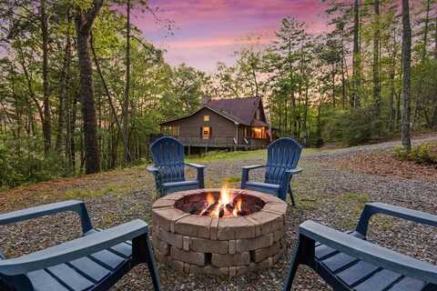 142 Amelia Lane, Blue Ridge, GA 30513