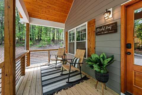 68 Cartecay Trace, Ellijay, GA 30536