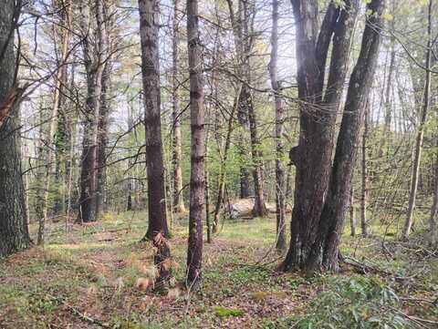 0 Deer Run Lane, Goshen, CT 06758