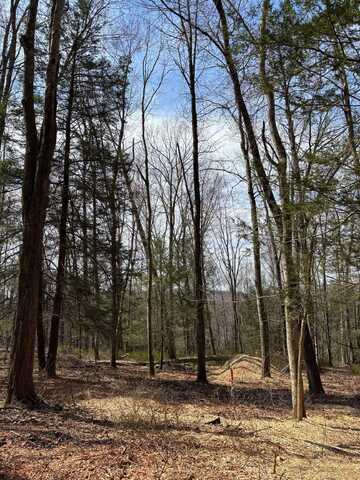 Lot 00 Chalybes Road West, Roxbury, CT 06783