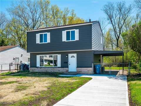 2130 Randall Street, Lorain, OH 44052