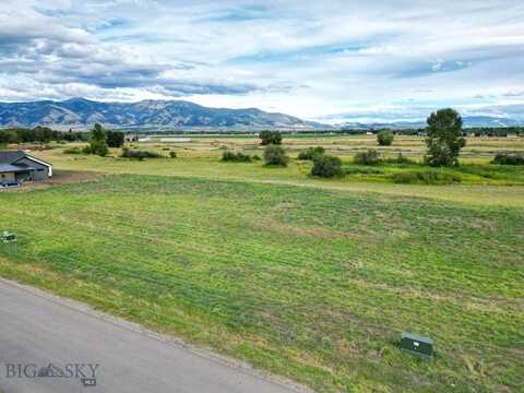 Riparian Way lot: 3, Bozeman, MT 59718