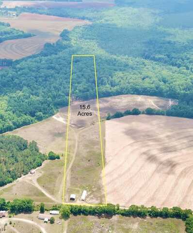 681 Cobb Rd  15.6 Acres, Rehobeth, AL 36301