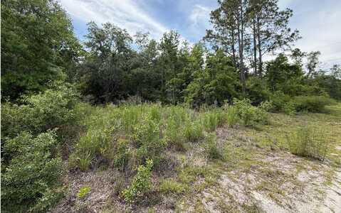 00 119TH DR, OBrien, FL 32071