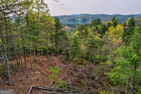 Lot 53 Community Hill, Blue Ridge, GA 30513