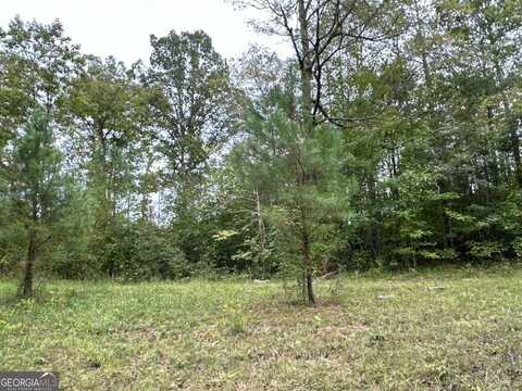1849 Prior Station, Cedartown, GA 30125