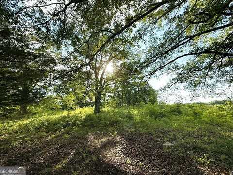 444 E Railroad, Bowman, GA 30624
