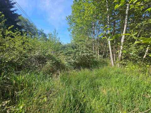 1246 Inyo, CRESCENT CITY, CA 95531