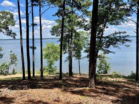 171 Lakeview Terrace, Abbeville, AL 36310