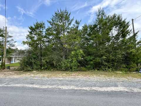 Lot 24 E Tiger Lily Lane, DeFuniak Springs, FL 32433