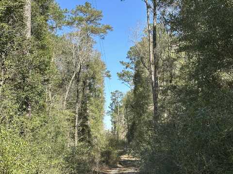 12 Lots Coon Bottom Estates, Ponce De Leon, FL 32455