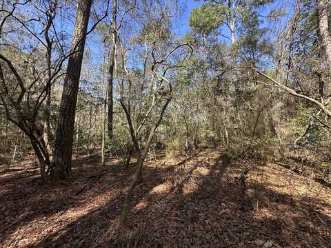 Lots 12,15,16, Coon Bottom Est, Ponce De Leon, FL 32455
