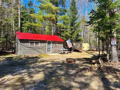 31882 W State AVE, Trout Lake, MI 49793