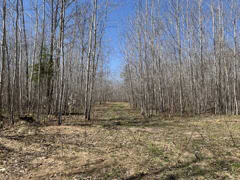 County Road 459, Mc Millan, MI 49853