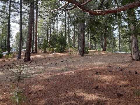 288 Arrowleaf Road, Portola, CA 96122