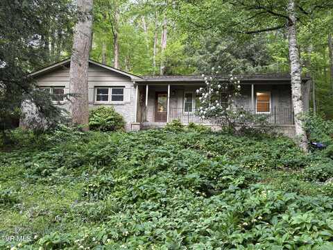 5 White Oak Court, Johnson City, TN 37604