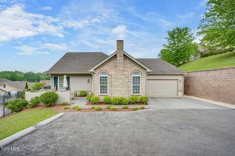 1710 Skyland Falls Court, Kingsport, TN 37664