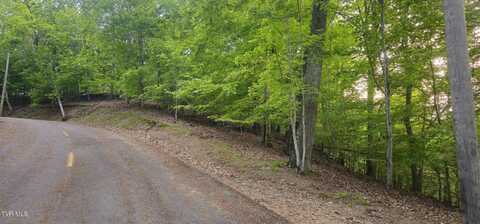1445 Echota Lane, Mooresburg, TN 37811