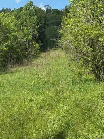 Blackburn Fork Rd, GAINESBORO, TN 38562