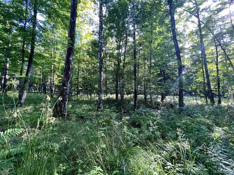 13254 Town, Skanee, MI 49962