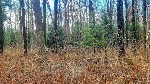 S Shore Drive, Goodman T-WI, WI 54125
