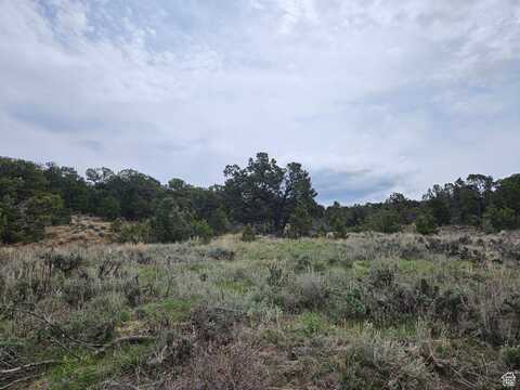 undefined, Fruitland, UT 84027