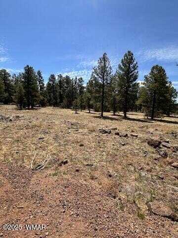 Tbd Dynamite, Lakeside, AZ 85929