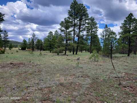 Tbd Dynamite, Lakeside, AZ 85929