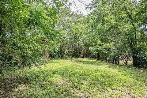 1311 Waterman Street, Fort Worth, TX 76102