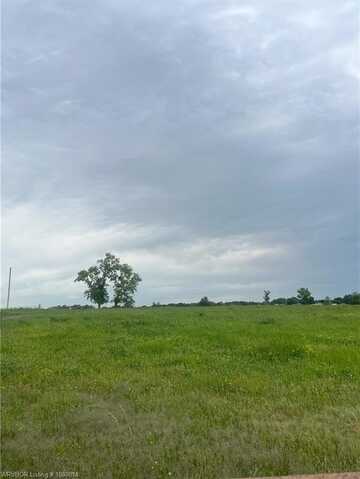 TBD Raleigh, Lavaca, AR 72941
