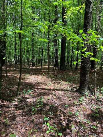 0 Teems Road, Ringgold, GA 30736