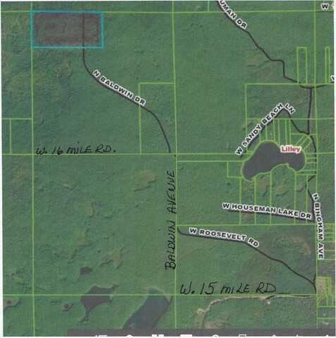13460 Baldwin Drive, Bitely, MI 49309
