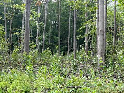 V/L W 100th Street, Grant, MI 49327