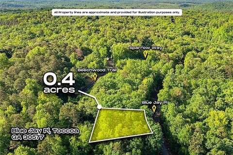 0 Blue Jay Place, Toccoa, GA 30577