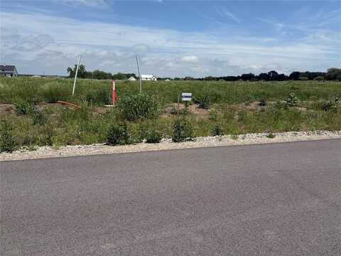 216 Yawney Drive, Lipan, TX 76462