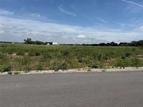 212 Yawney Drive, Lipan, TX 76462
