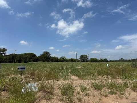 252 Yawney Drive, Lipan, TX 76462