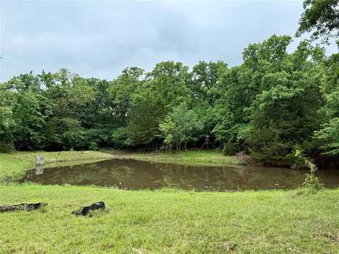 Tbd County Road 203, Collinsville, TX 76233