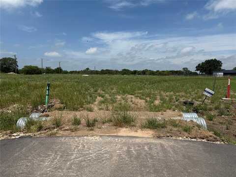 248 Yawney Drive, Lipan, TX 76462